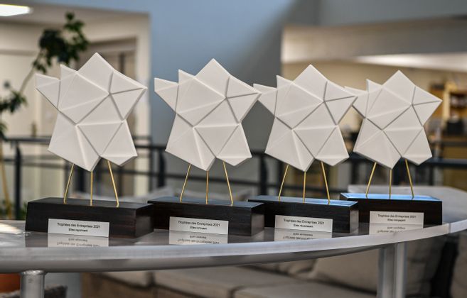 France Paratonnerres gana el premio “Elles rayonnent / Ellas brillan” en los premios de las empresas de Haute-Vienne 2021!